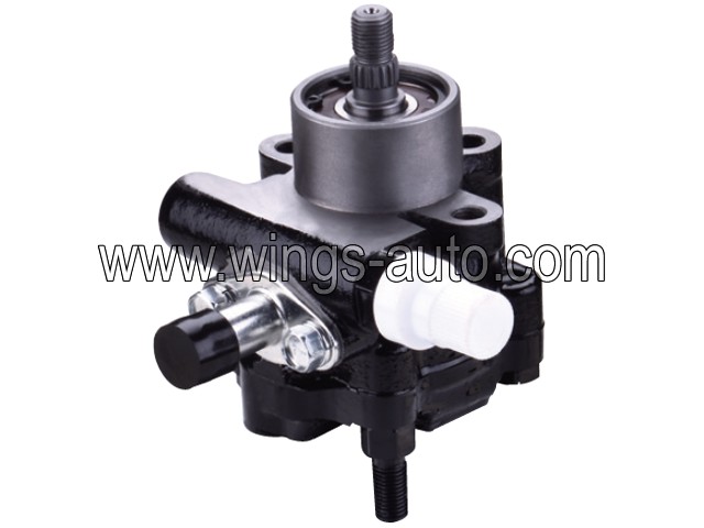 australian Power steering pump