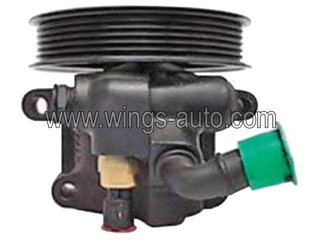 australian Power steering pump 1