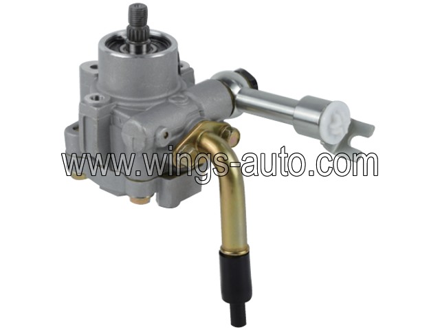 australian Power steering pump 10
