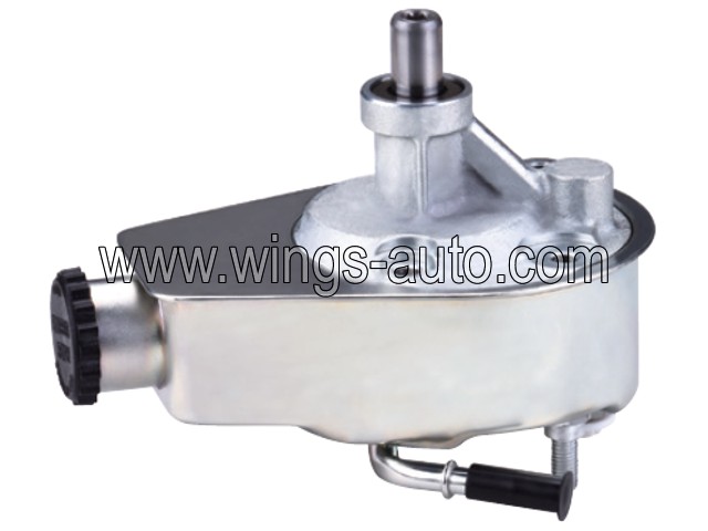 australian Power steering pump 11