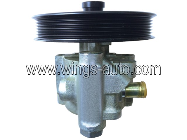 australian Power steering pump 12