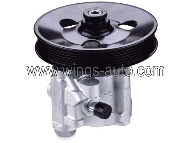 australian Power steering pump 13