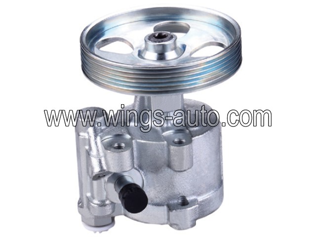 australian Power steering pump 14