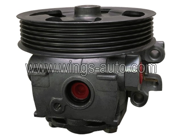 australian Power steering pump 15