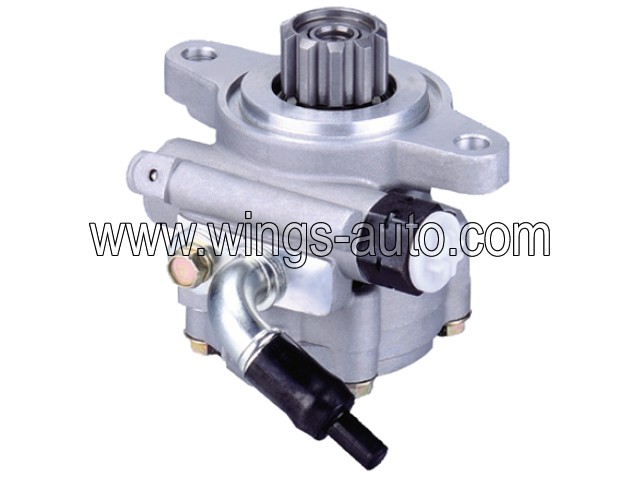 australian Power steering pump 2