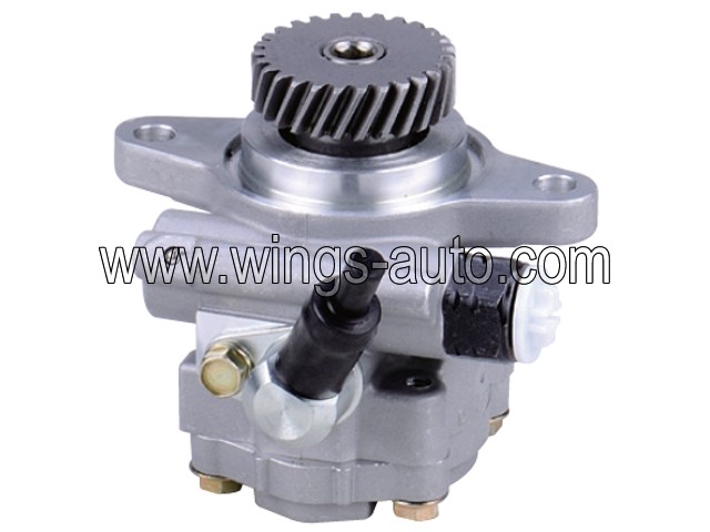 australian Power steering pump 5