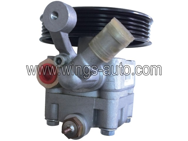 australian Power steering pump 6