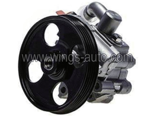 australian Power steering pump 8