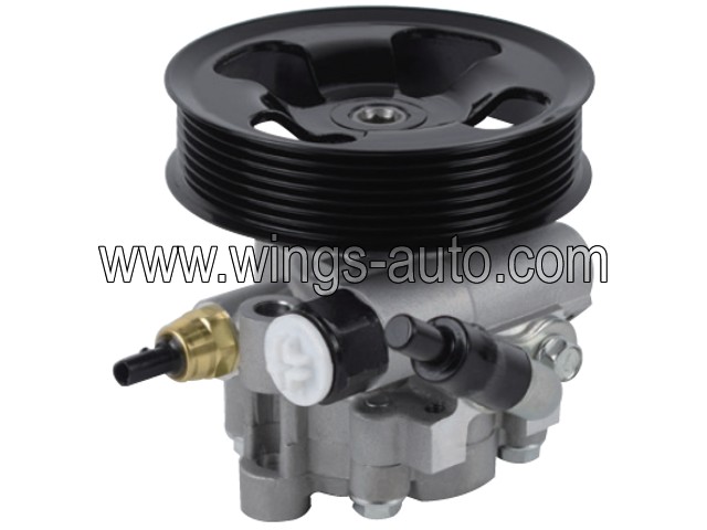 australian Power steering pump 9