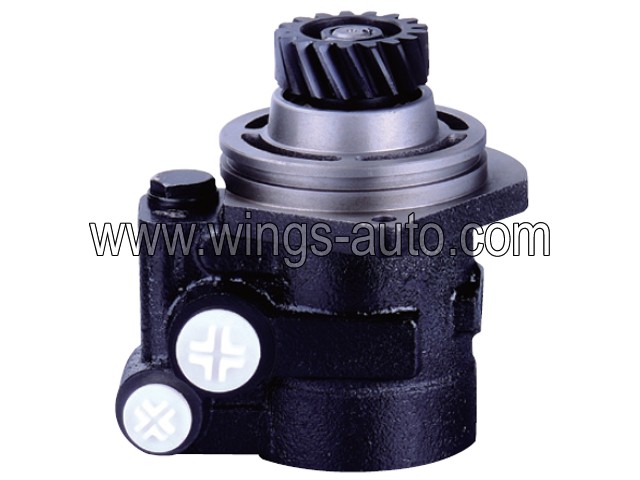 chinese Power steering pump 1