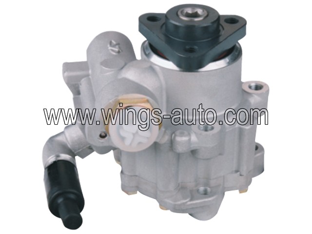 chinese Power steering pump 10