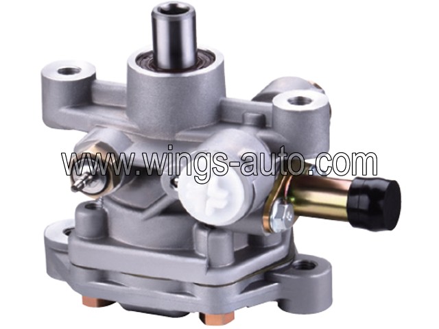 chinese Power steering pump 11