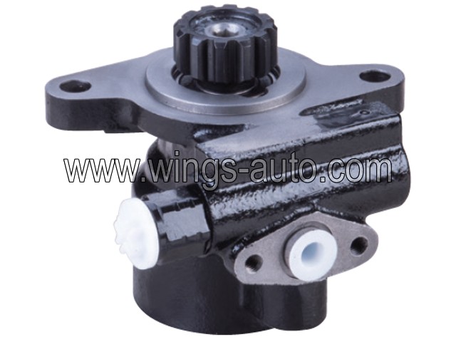 chinese Power steering pump 12