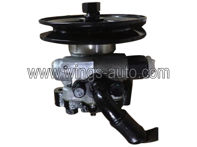 chinese Power steering pump 13