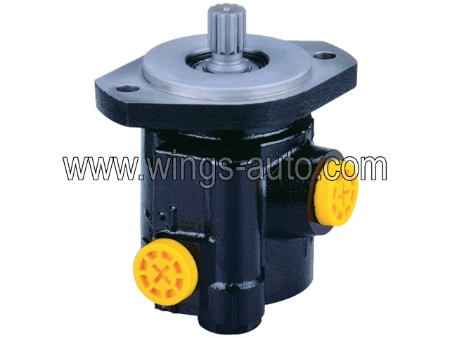 chinese Power steering pump 2