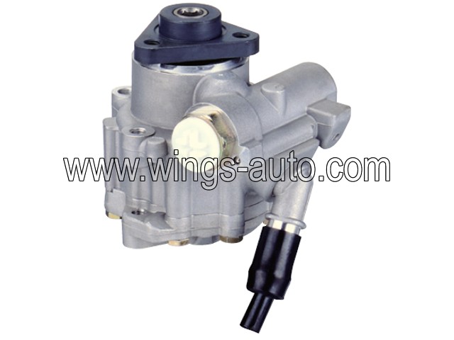 chinese Power steering pump 4