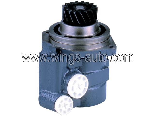 chinese Power steering pump 5
