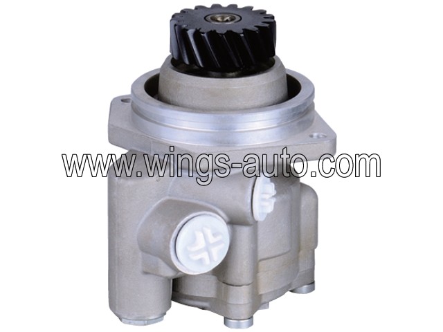chinese Power steering pump 6