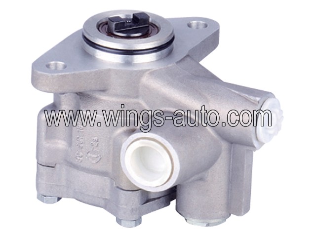 daf Power steering pump 1