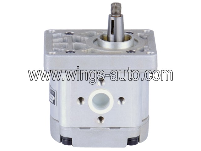 fiat Hydraulic pump