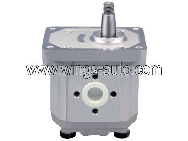fiat Hydraulic pump 2