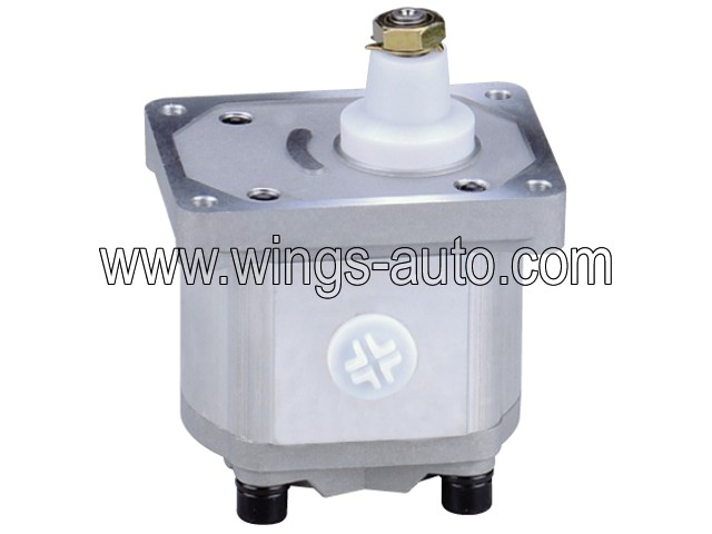 fiat Hydraulic pump 3
