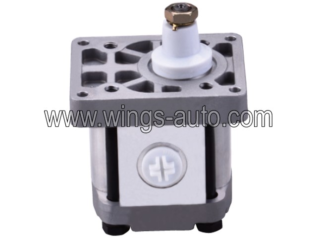 fiat Hydraulic pump 6