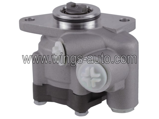 foro Power steering pump