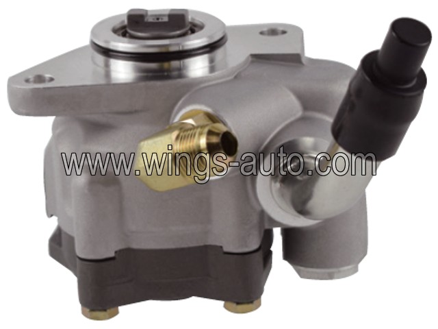 foro Power steering pump 1