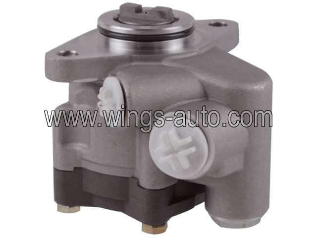 gaz Power steering pump