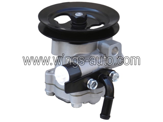 hyundai Power steering pump 10