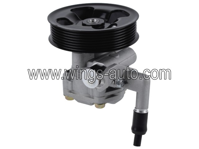 hyundai Power steering pump 19