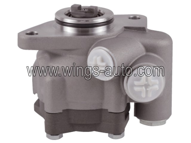man Power steering pump 2