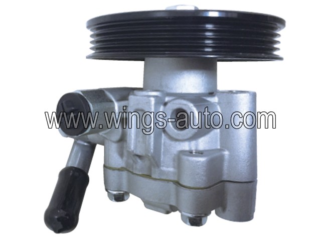 nissan Power steering pump 14
