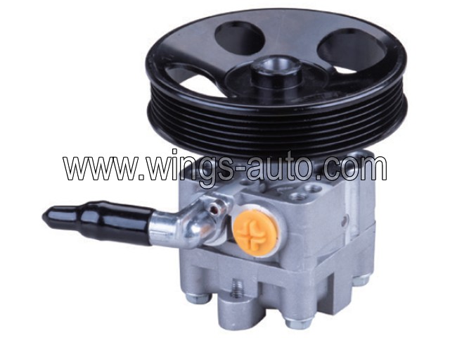 nissan Power steering pump 25