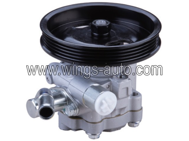 nissan Power steering pump 29