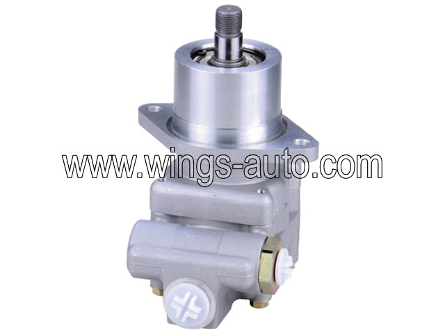 russia Power steering pump 2