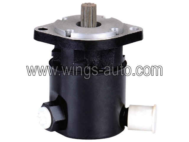 russia Power steering pump 3