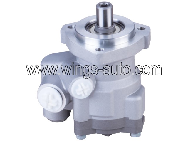 russia Power steering pump 5