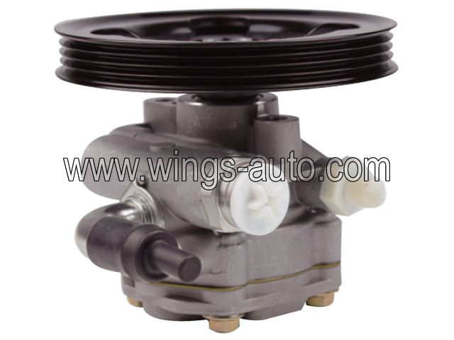 suzuki Power steering pump 1